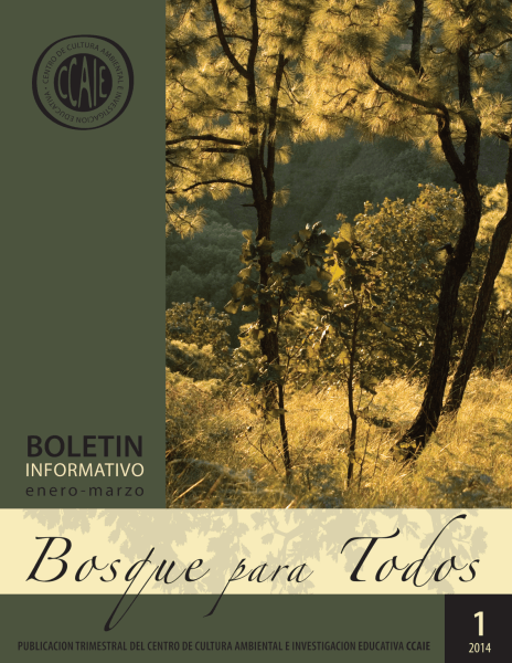 Screen Shot 2019-04-15 at 5.40.33 PM