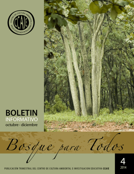 Screen Shot 2019-04-15 at 5.48.22 PM