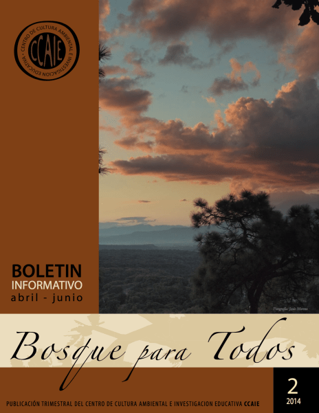 Screen Shot 2019-04-15 at 6.31.32 PM