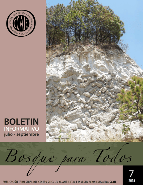 Screen Shot 2019-04-15 at 6.32.14 PM