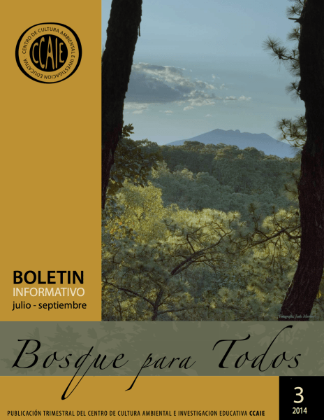 Screen Shot 2019-04-15 at 6.32.32 PM